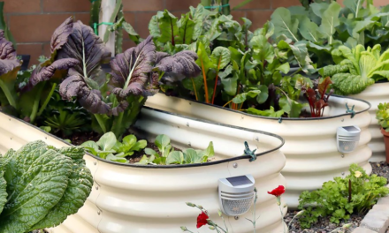 These 7 Best Raised Beds Will Take Your Garden to the Next Level—Literally